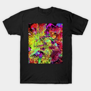 psychedelic colors T-Shirt